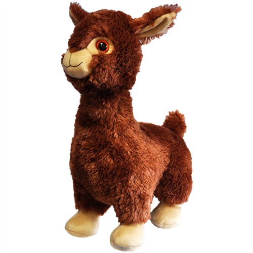 Lama_3.jpg