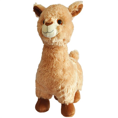 Lama_1.jpg
