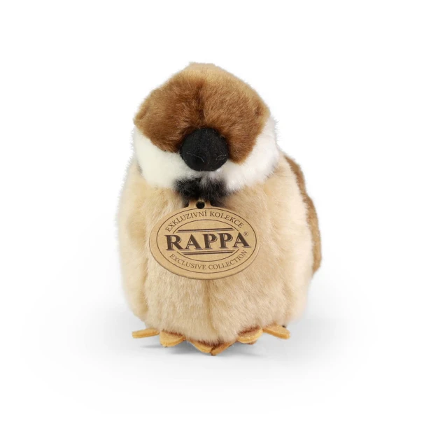 203648-1.jpg