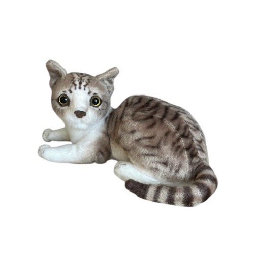 kot-bialo-brazowy-30cm.jpg