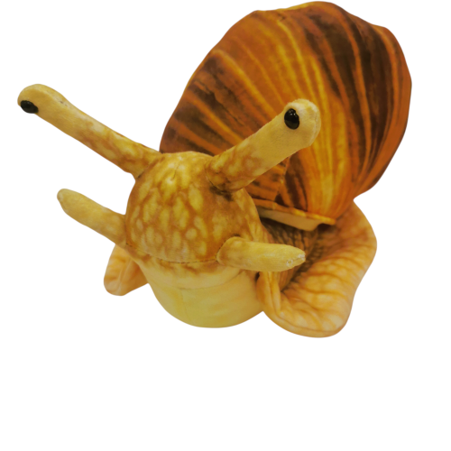 ślimak.png
