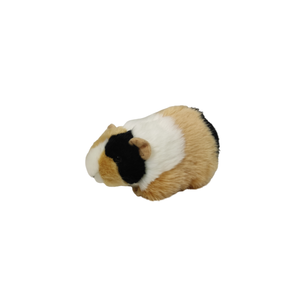 swinka-morska-20cm (1).jpg