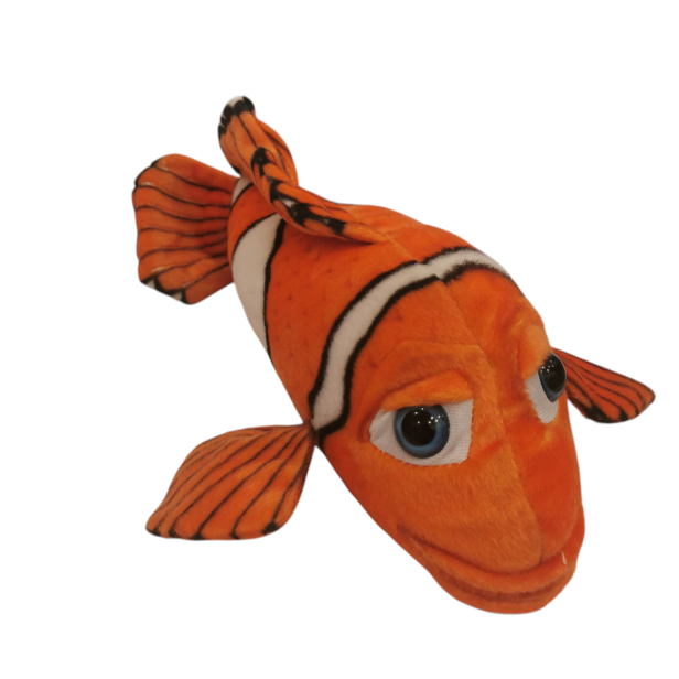 rybka nemo.png