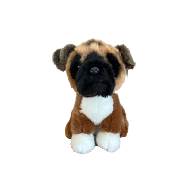 pies-boxer-19-cm-36sztk.jpg