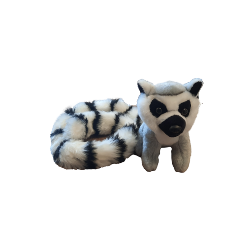 lemur-14cm-dlugi-ogon70cm.jpg